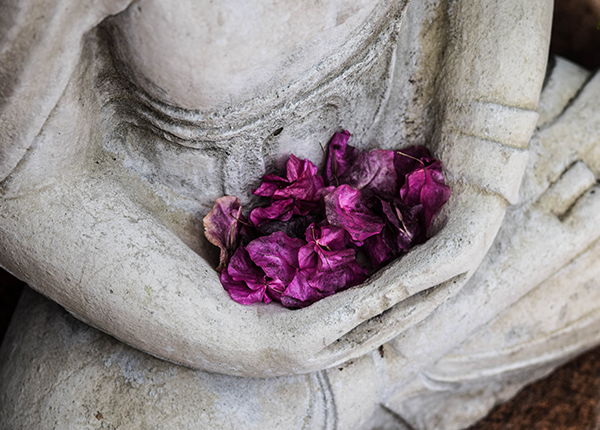 Join us in Kocoon’s intimate setting, for an evening of reiki and meditation